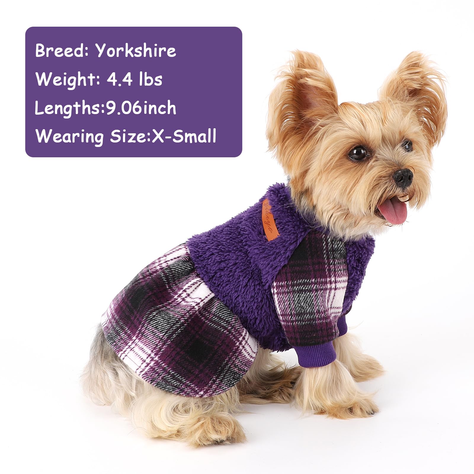 Kosiyi small-dog belly-cut sweater improves potty breaks.