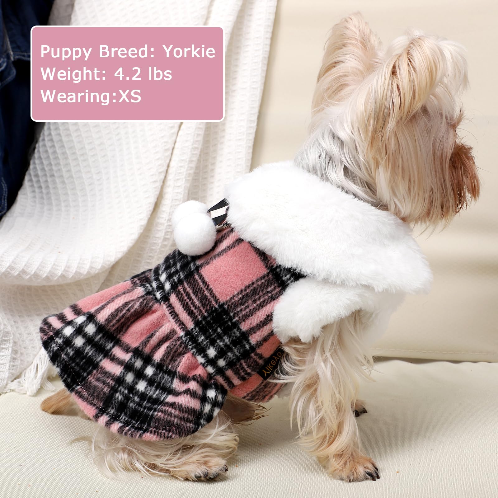 Kosiyi small-dog model wearing pink plaid; ideal for tiny breeds.
