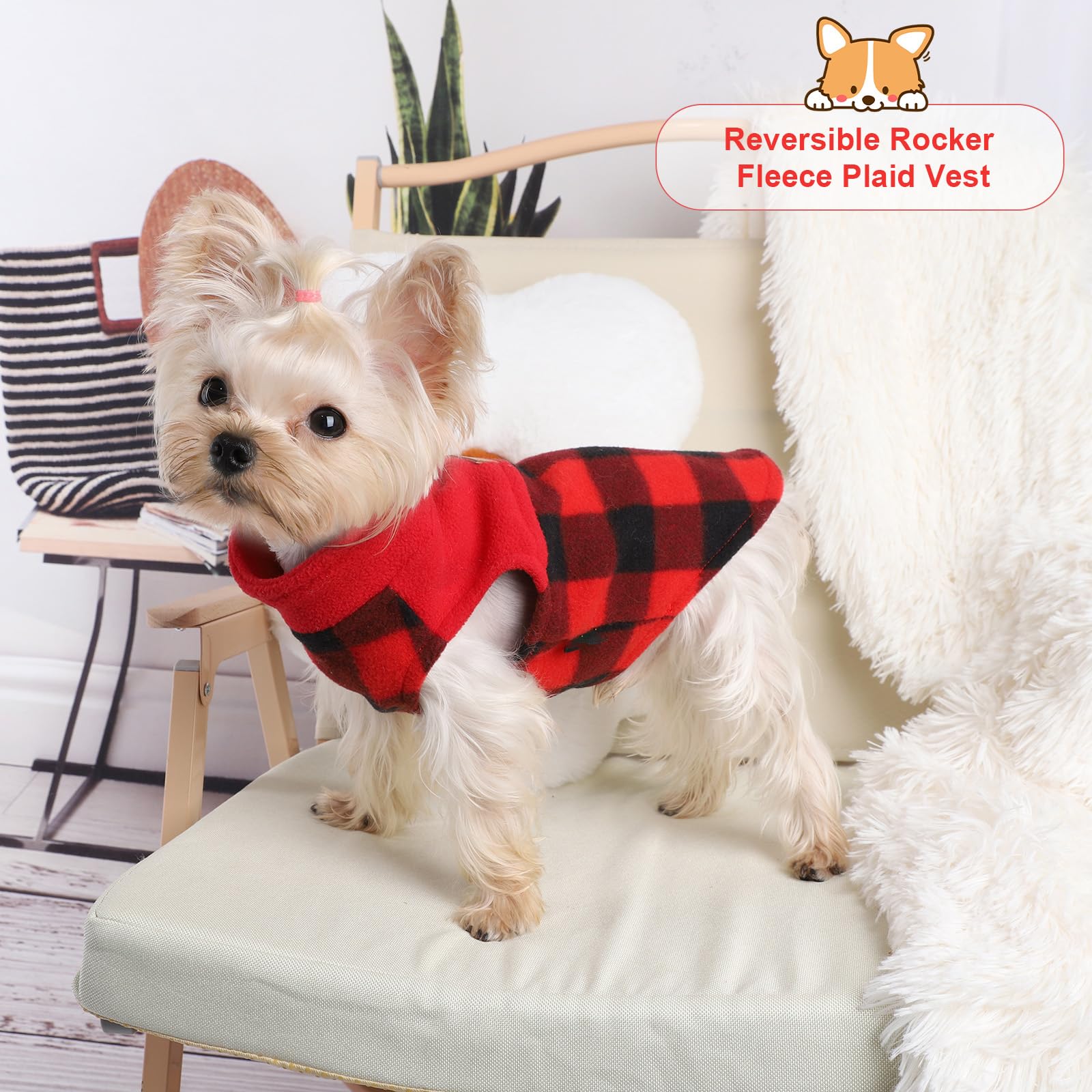 Kosiyi small dog pullover sweater easy-on design for quick outdoor outings.