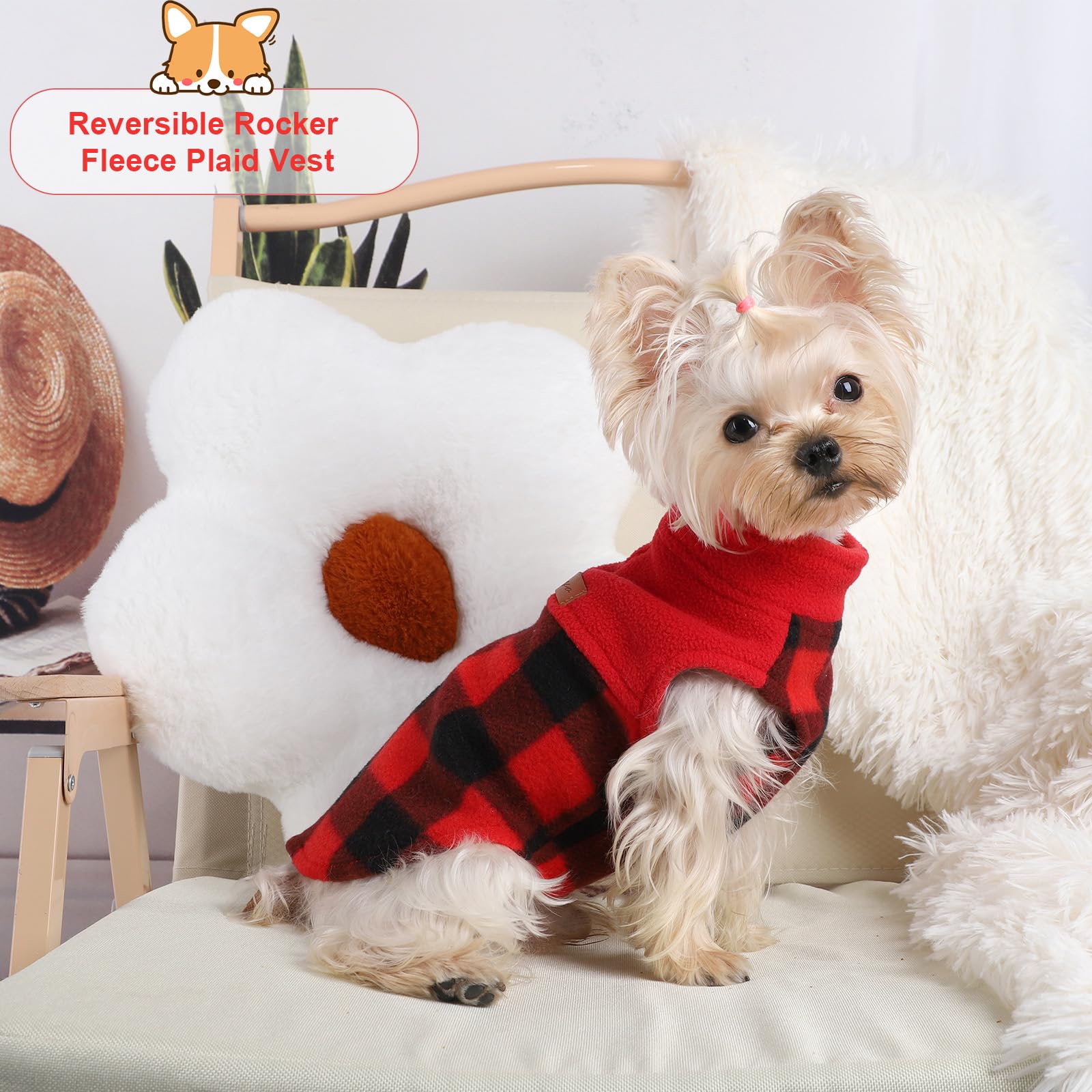 Kosiyi warm fleece inside keeps small dogs comfortable in cold weather.