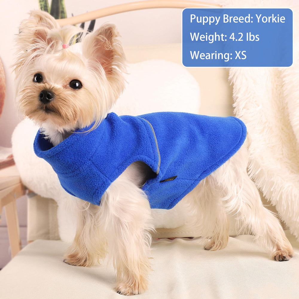 Kosiyi stand-up collar dog sweater provides neck warmth in cold weather
