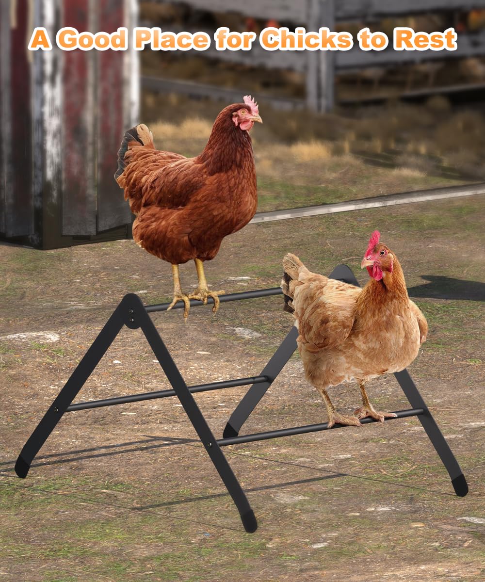 Koutemie baby-chicks training perch supports early roost learning in a safe setup.