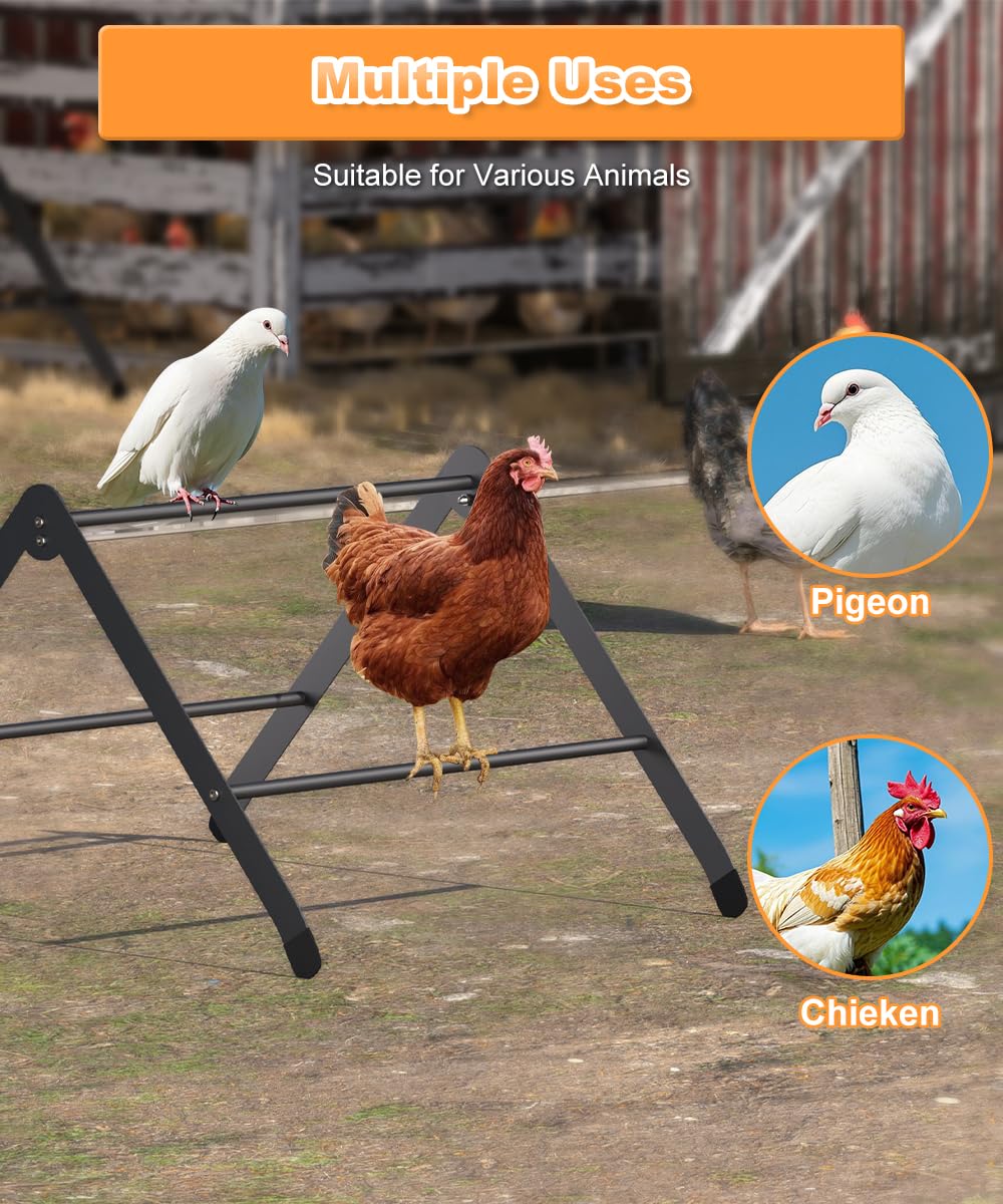 Koutemie easy-clean roost surfaces simplify maintenance and hygienic bird spaces.