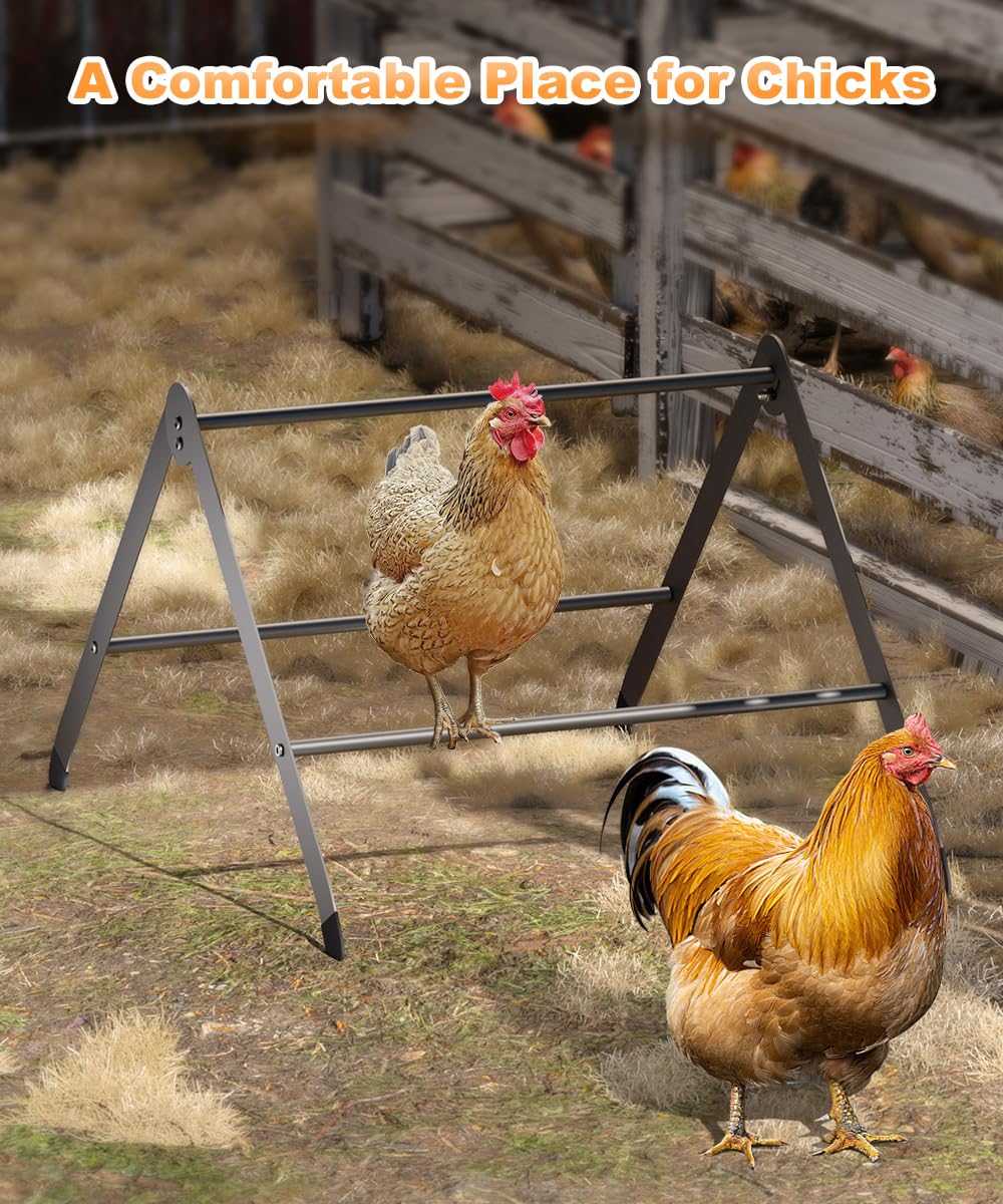Koutemie ergonomic chicken roost design promotes natural roosting behavior comfortably.