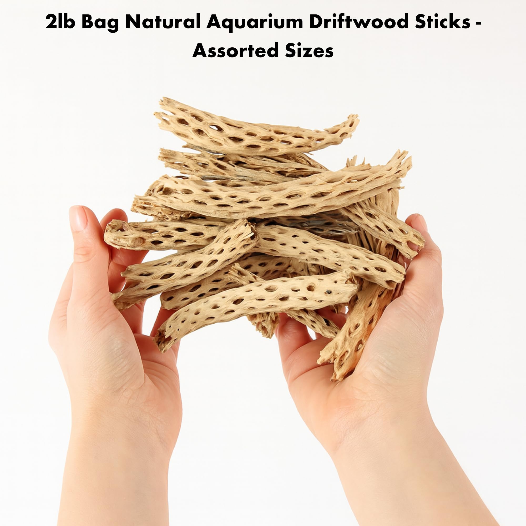Koyal Wholesale cholla wood bulk pack 2lb for versatile terrarium and tank decor.