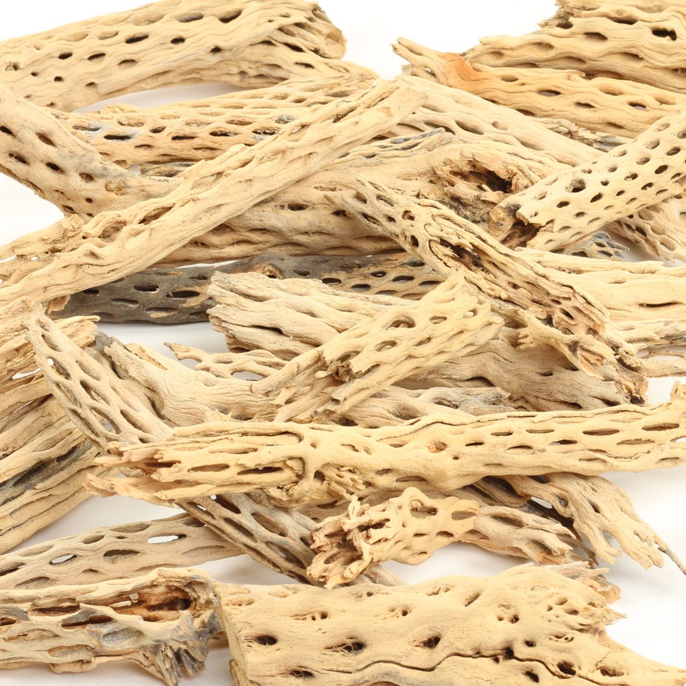 Koyal Wholesale cholla wood texture closeup highlighting porous surface for natural aquarium decor.