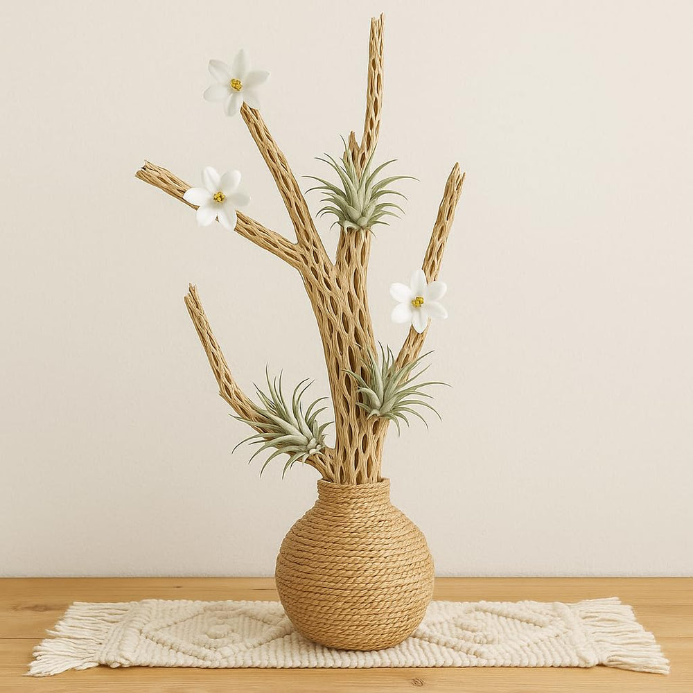 Koyal Wholesale 24-inch cholla wood serves hermit crab terrariums as climbing and hiding decor