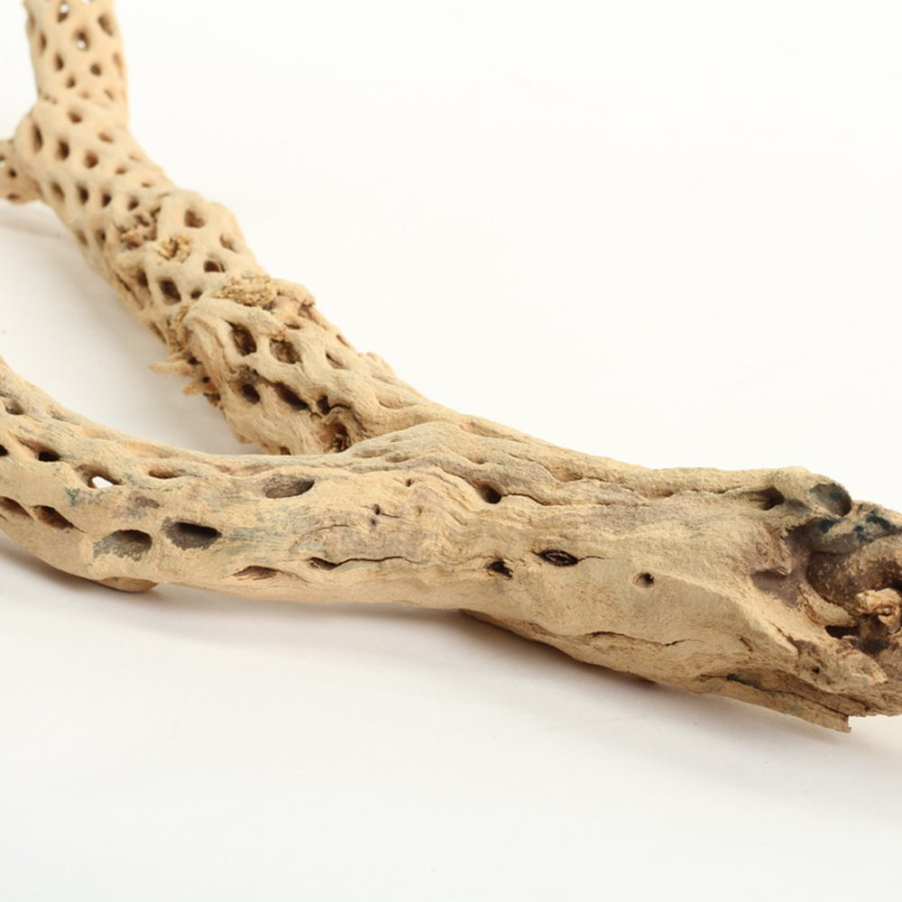 Koyal Wholesale cholla wood serves as climbing branches for reptiles and terrarium enrichment