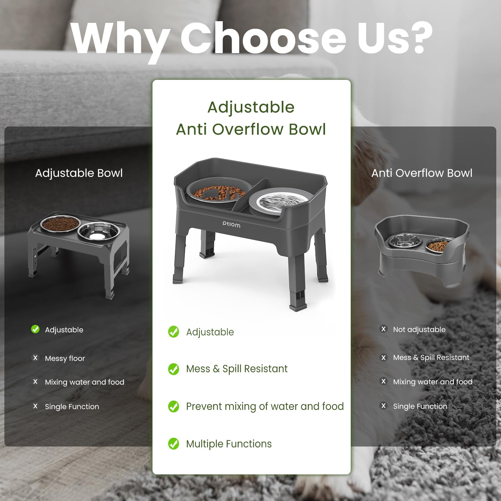 KPWACD anti-skid edging stabilizes bowls on slick floors