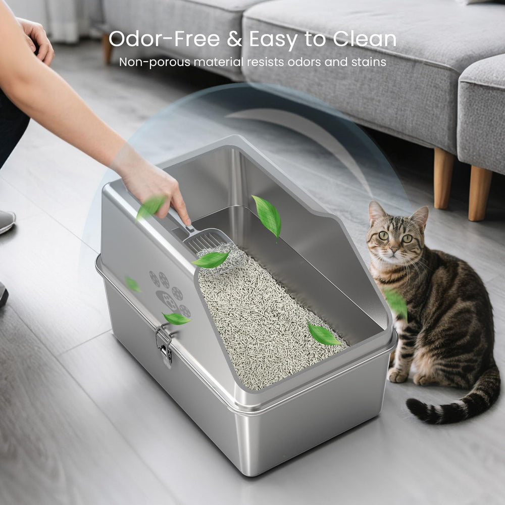 KPWACD large box suited for multi-cat households with spacious footing.