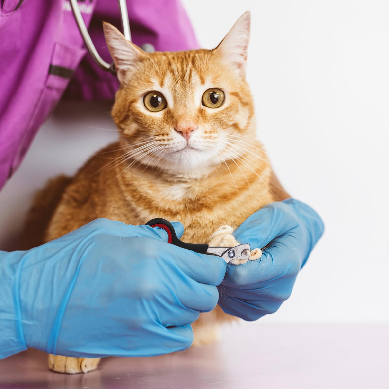 Kritkin cat muzzle soft mesh for gentle restraint.