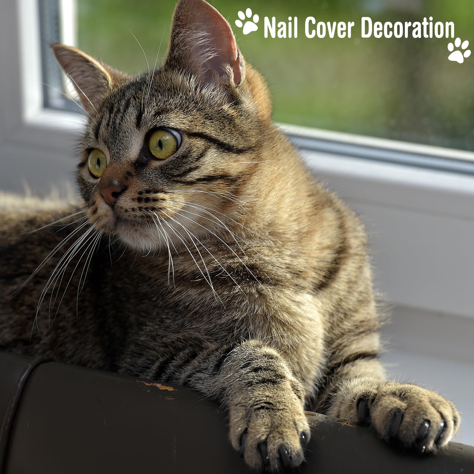Kritkin tick removal tools for safe removal during grooming.