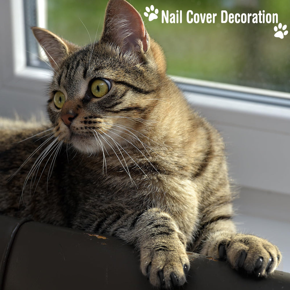 Kritkin tick removal tools for safe removal during grooming.