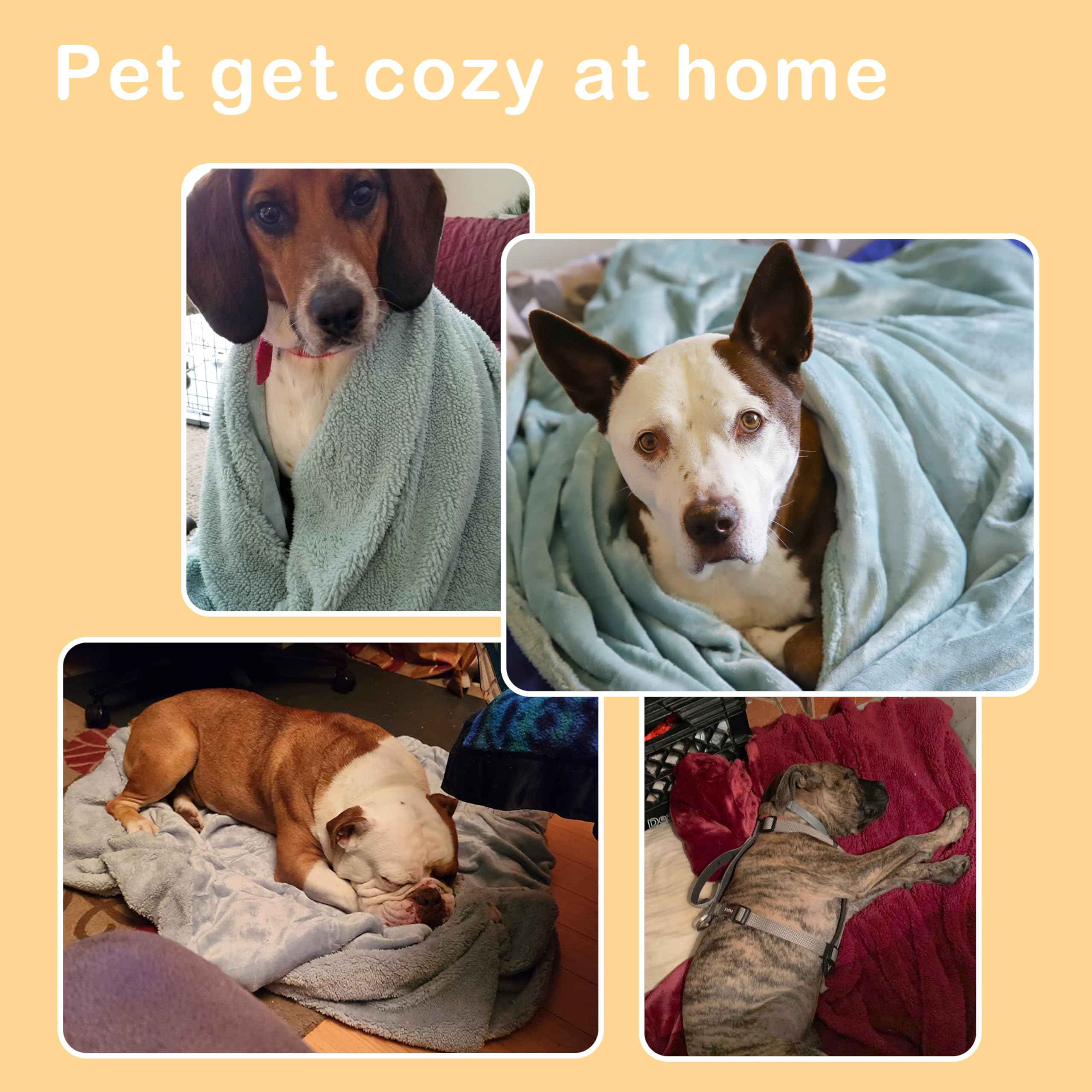 Kritter Planet dog blanket fluffy sherpa back texture for snuggly comfort.