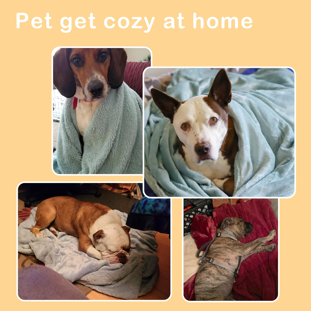 Kritter Planet dog blanket fluffy sherpa back texture for snuggly comfort.