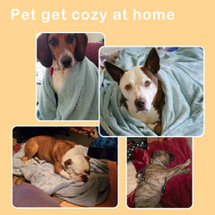 Kritter Planet dog blanket fluffy sherpa back texture for snuggly comfort.