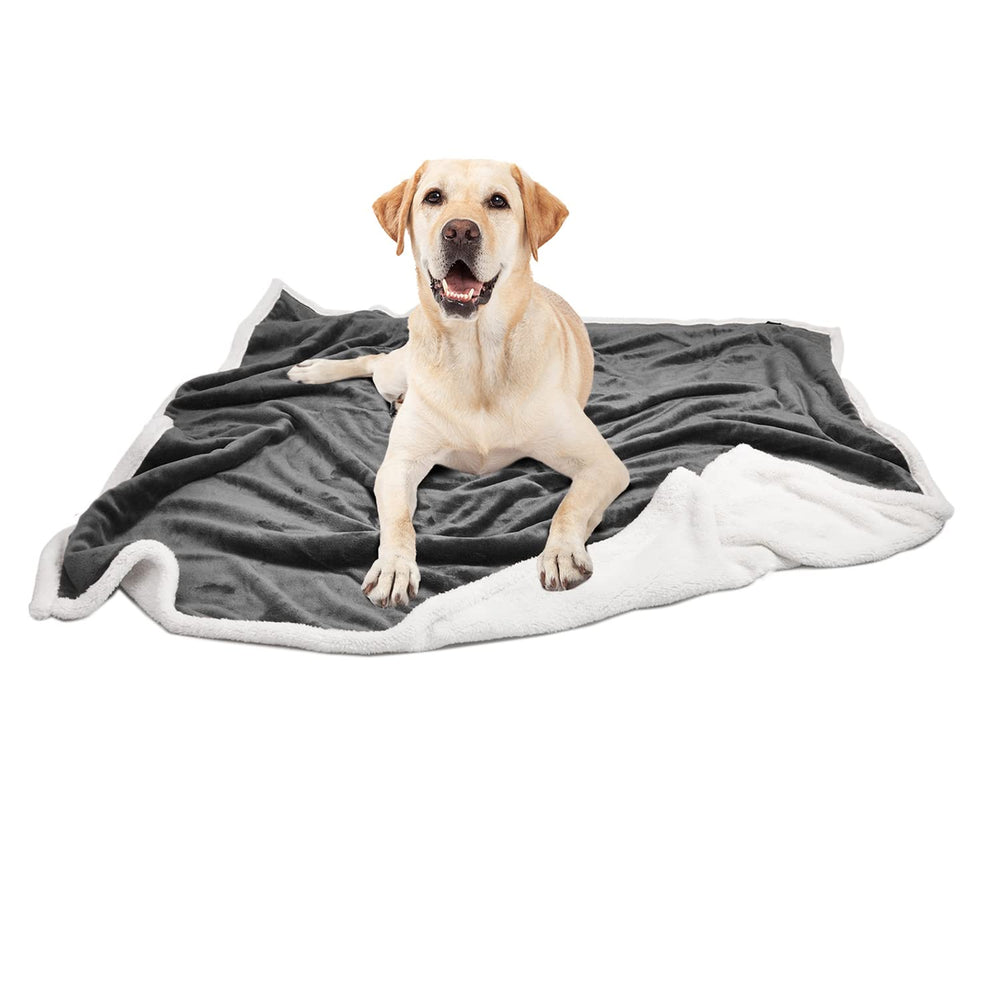 Kritter Planet gift-ready blanket for birthdays or adoption anniversaries