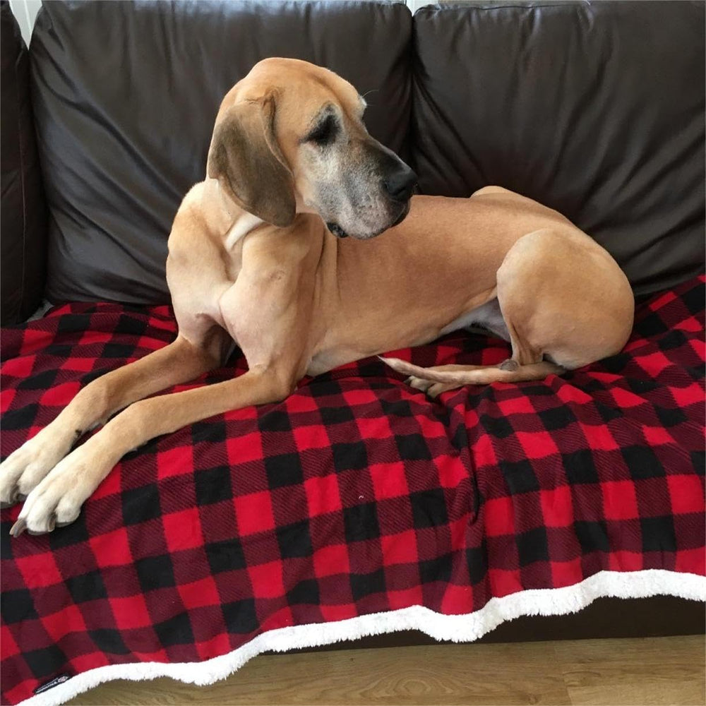 Kritter Planet durable dog blanket fabric withstands daily wear for longevity
