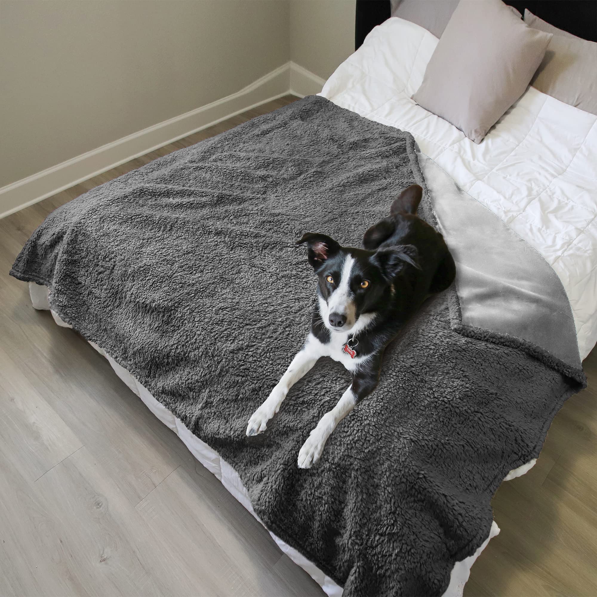 Kritter Planet easy-clean waterproof surface simplifies maintenance