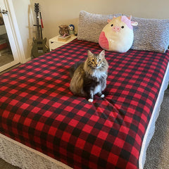 Kritter Planet non-slip bottom dog blanket stays in place during play
