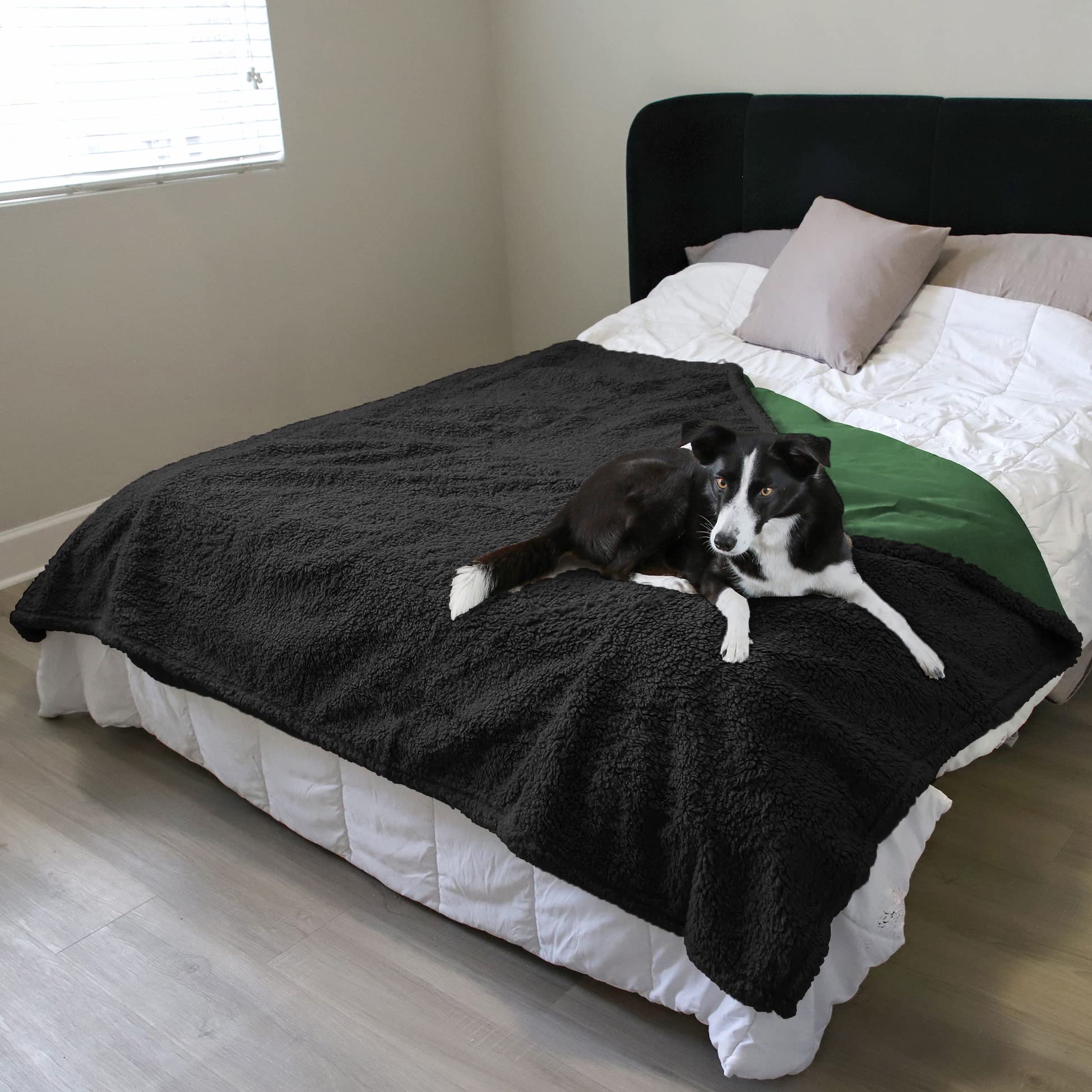 Kritter Planet pet protection on furniture guards against spills during lounging.