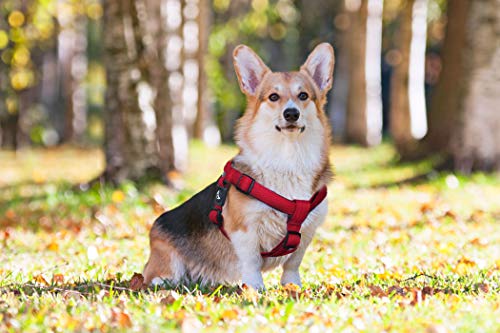 KRUZ PET Kruz No Pull Harness reinforced-stitching supports active dogs through seasons.