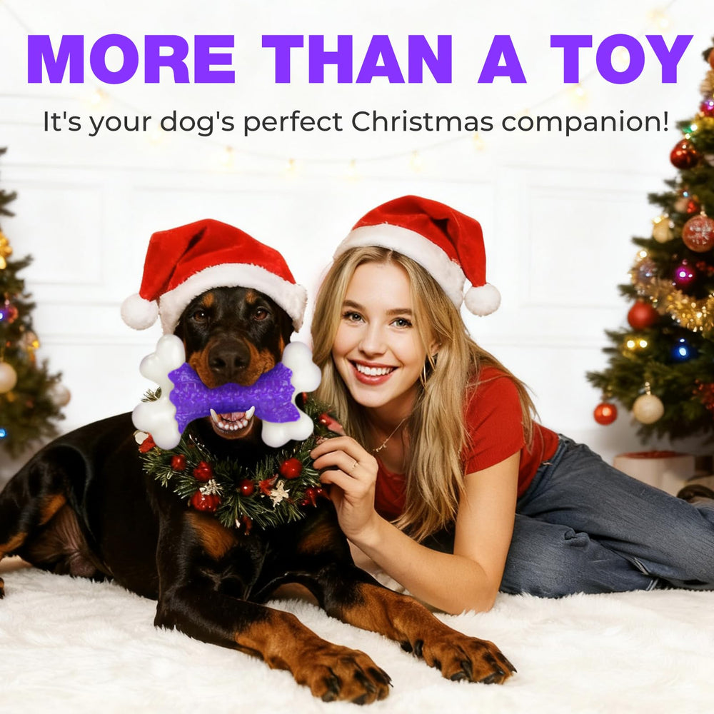 Kseroo aggressive chewer toy shows chew-proof design that stands up to powerful jaws
