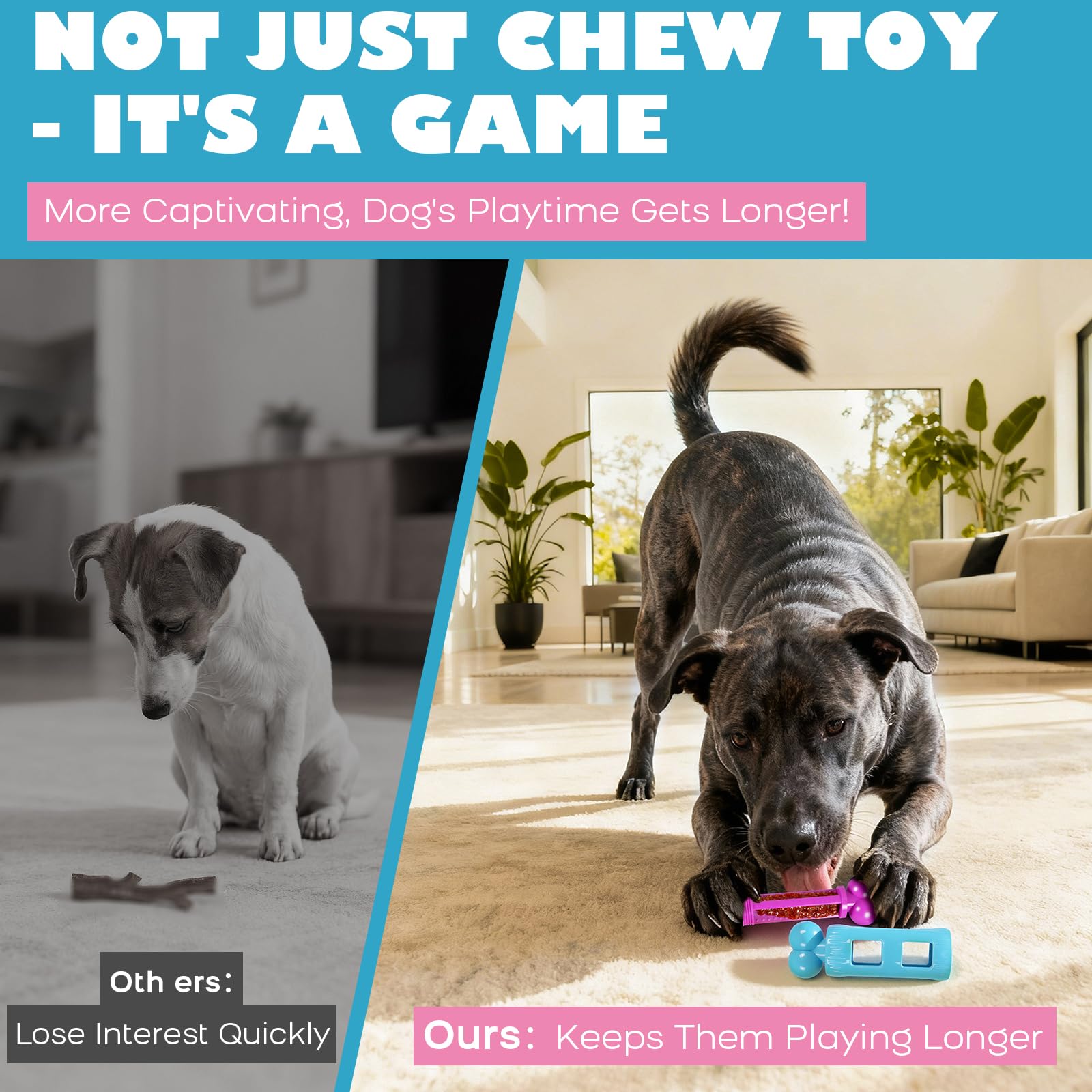 Kseroo bacon flavor toy appeals to dogs during playtime and rewards their curiosity.