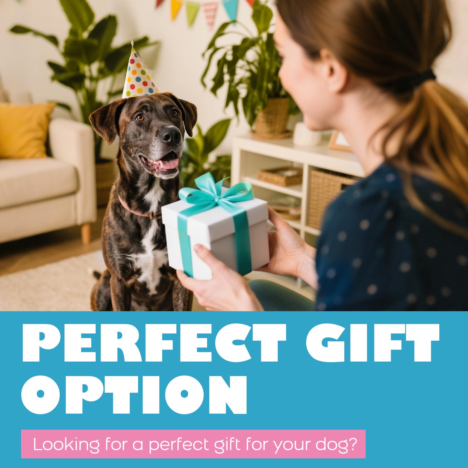 Kseroo gift-for-dogs option is ideal for birthdays or holidays.