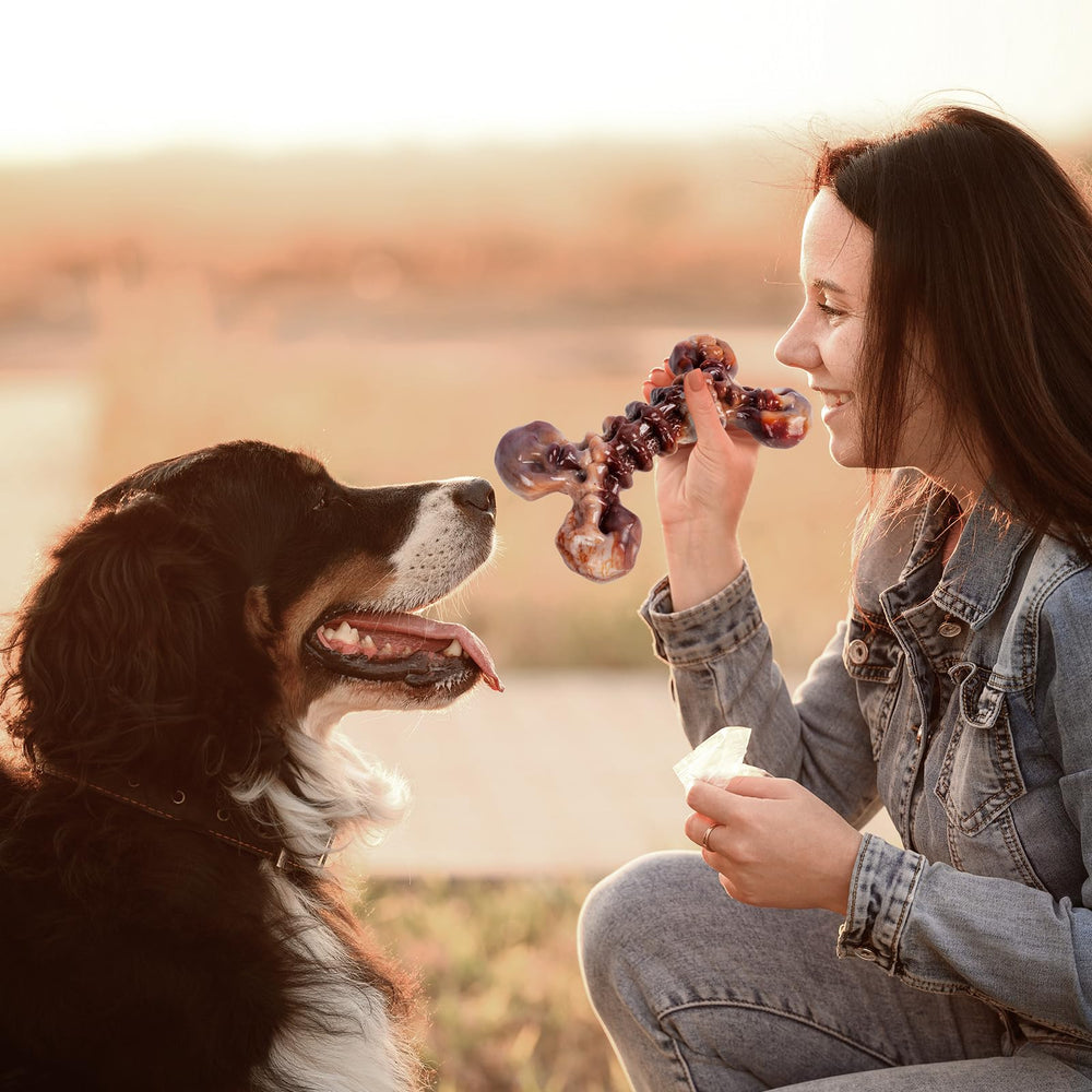 Kseroo 25–80 lb sizing ensures comfortable, safe chewing for medium to large dogs.