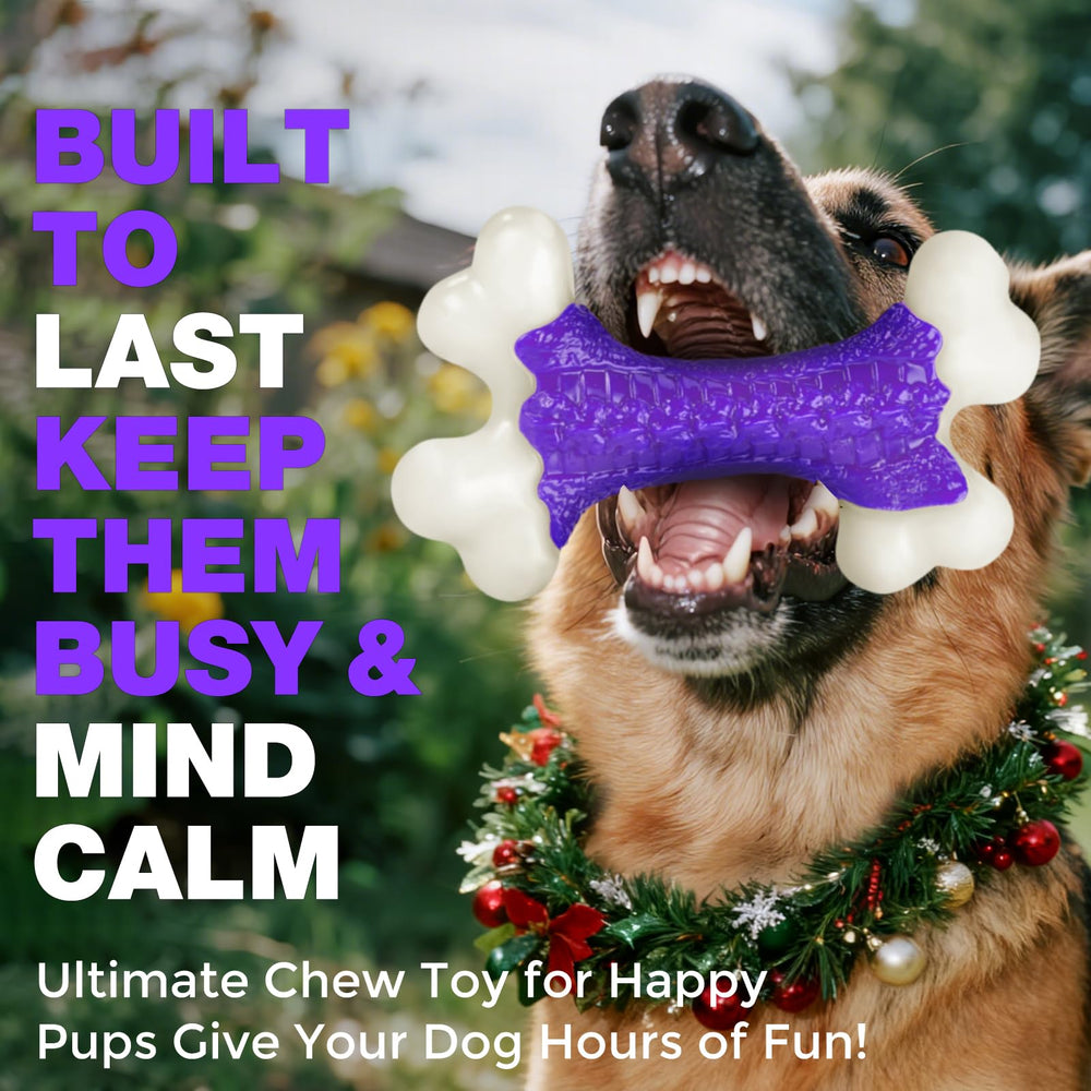 Kseroo interactive dog toy promotes solo play and reduces boredom for large breeds