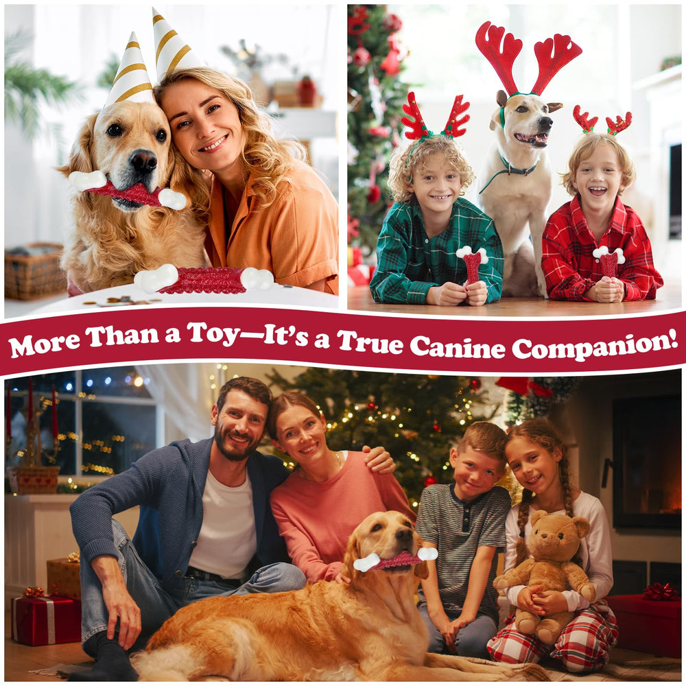 Kseroo interactive dog toy playtime scene promoting bonding