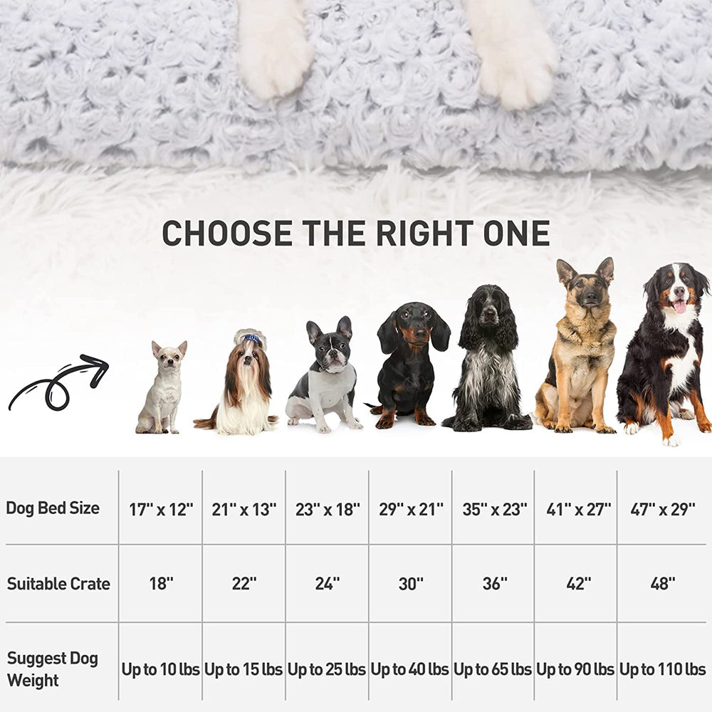 KSIIA travel ready dog bed shown in car or crate