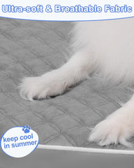KSIIA waterproof dog bed cover protects against spills