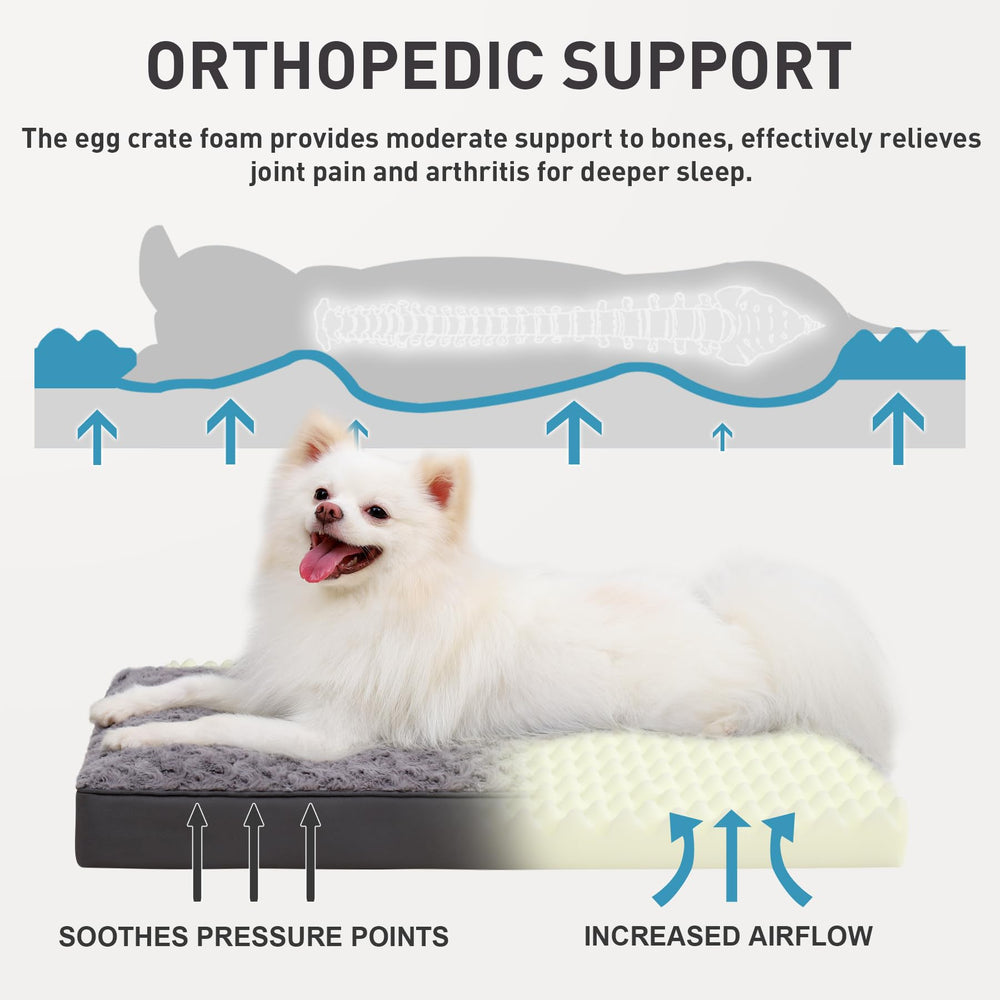 KSIIA orthopedic-foam bed provides joint support for small dogs.