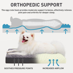 KSIIA orthopedic-foam bed provides joint support for small dogs.