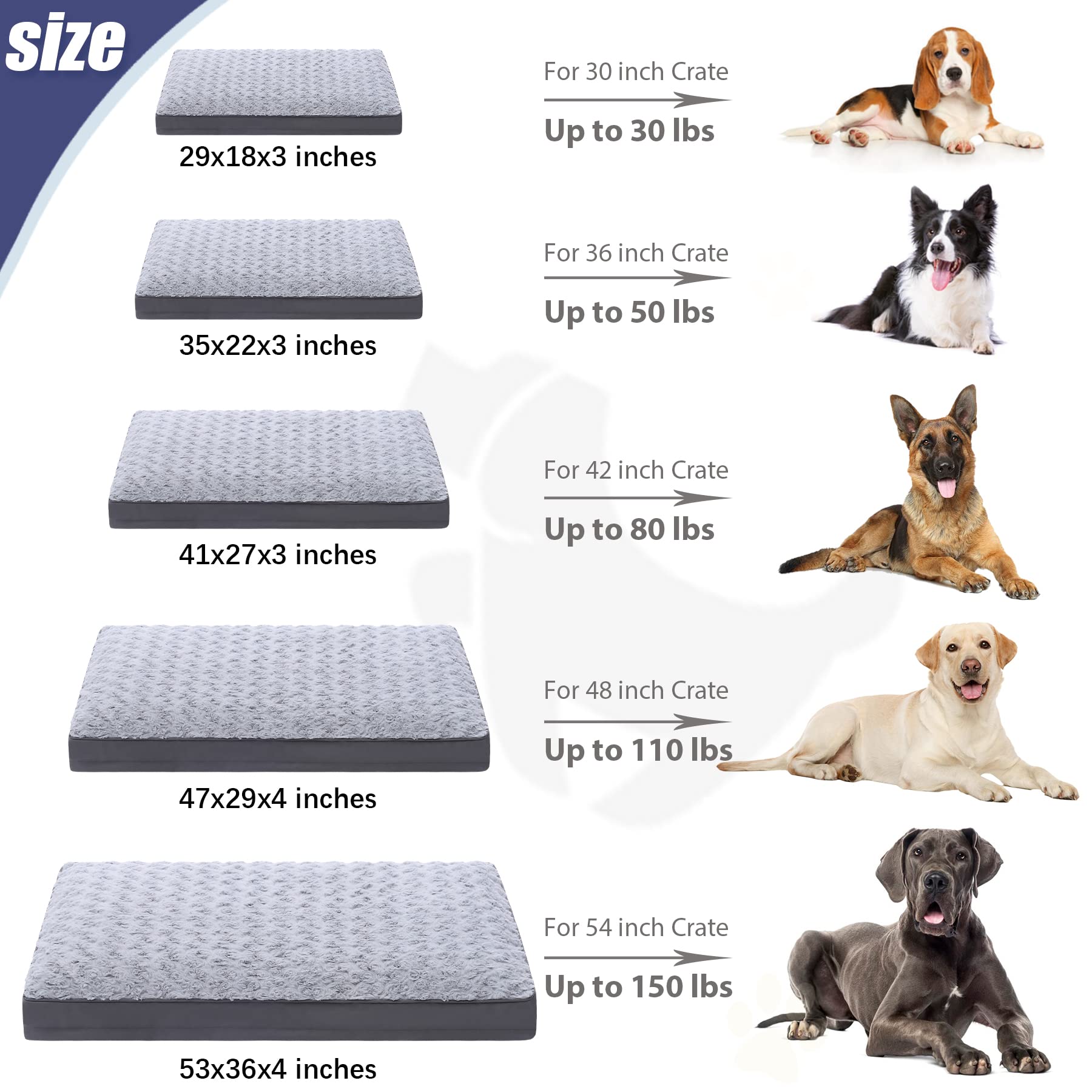 KSIIA 53x36 inch bed up to 150 lbs supports large dogs in crates.