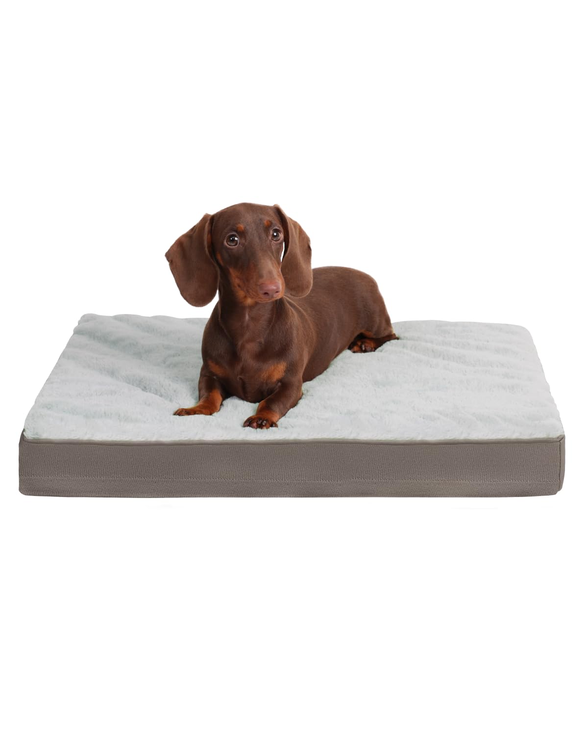 KSIIA orthopedic dog bed foam closeup showing supportive egg crate for joint comfort