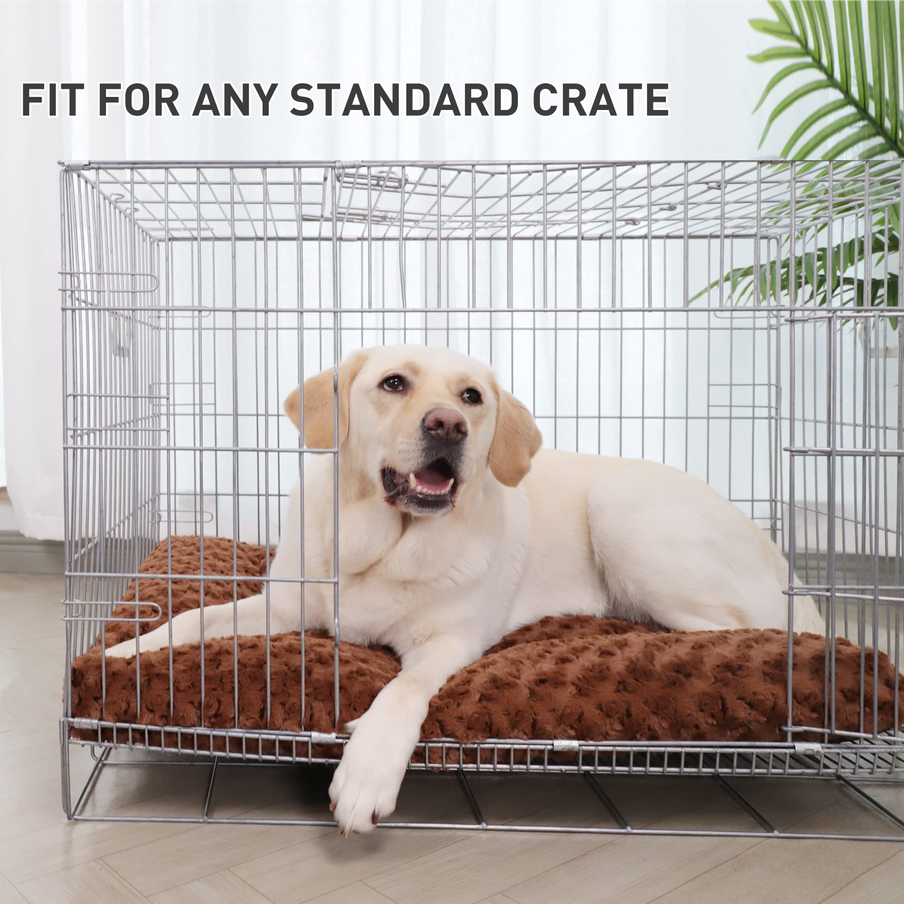 KSIIA Washable Dog Bed brown dog-in-bed demonstrates ample space for large breeds.