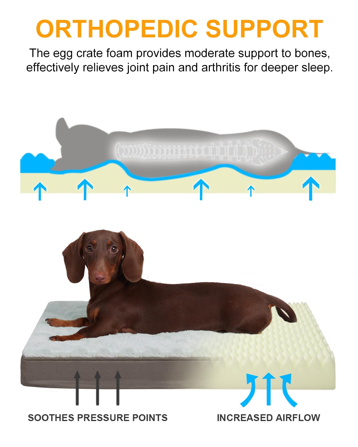 KSIIA dog bed waterproof layer image highlights stain-resistant design for busy homes