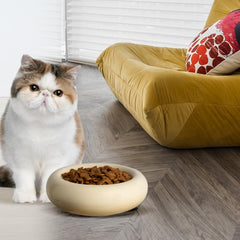 KTLECL whisker-stress-relief bowl with shallow design for comfy meals