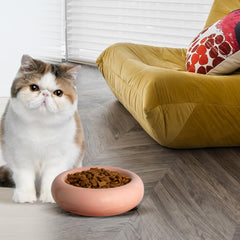 KTLECL dishwasher-safe ceramic cat bowl for easy cleaning