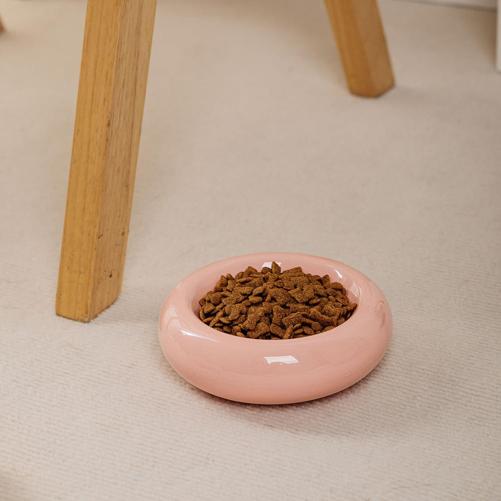 KTLECL spine-friendly cat bowl supports neck alignment during feeding