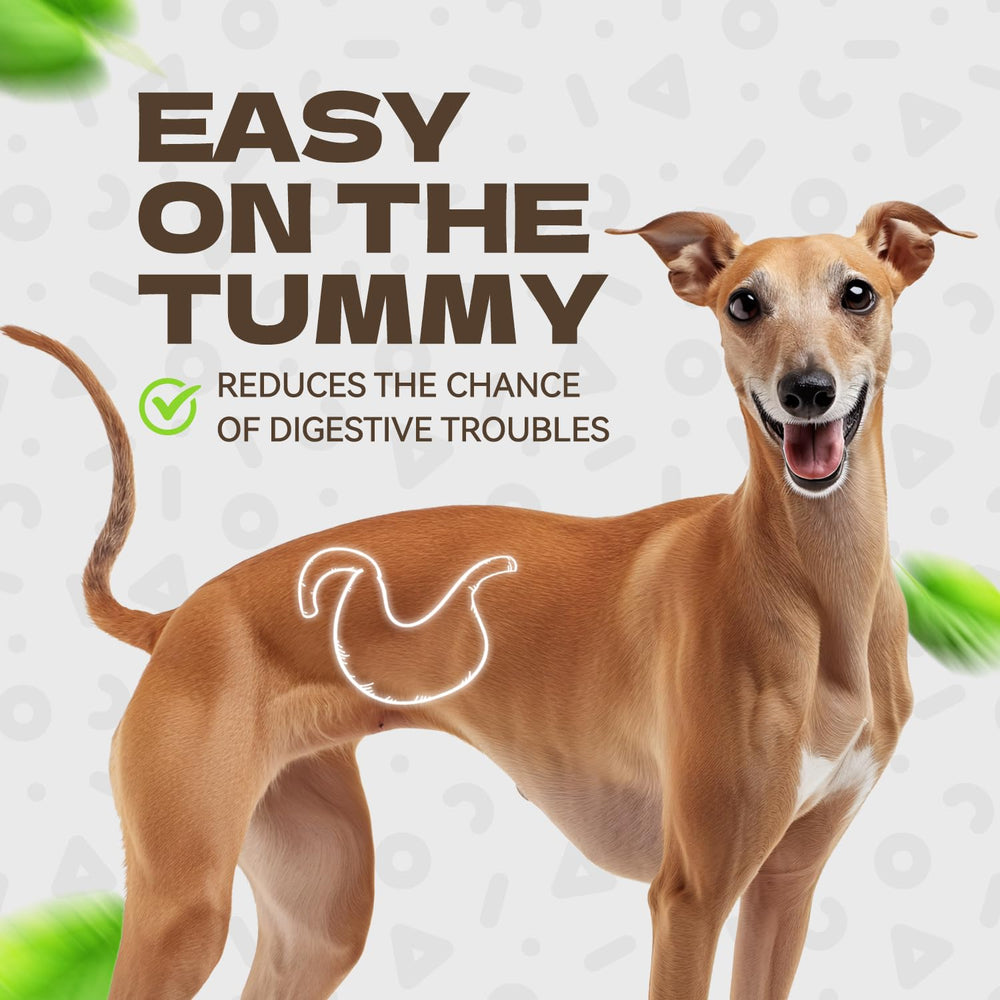KUADELRO senior-friendly chews cater to older dogs' comfort.