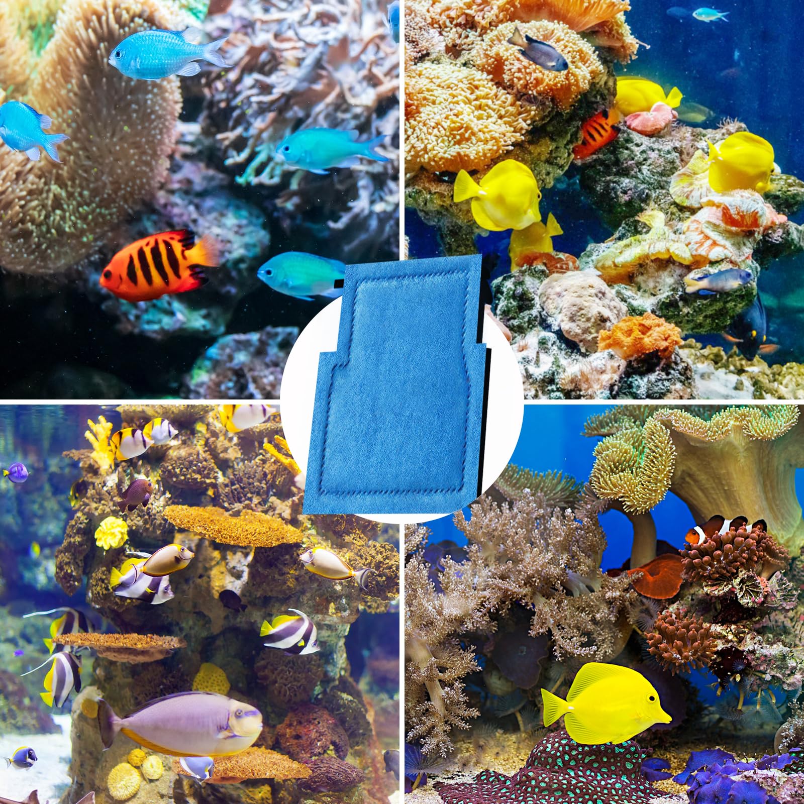 Kucbraly fresh-water-tank use-case: clearer water and healthier-looking fish.