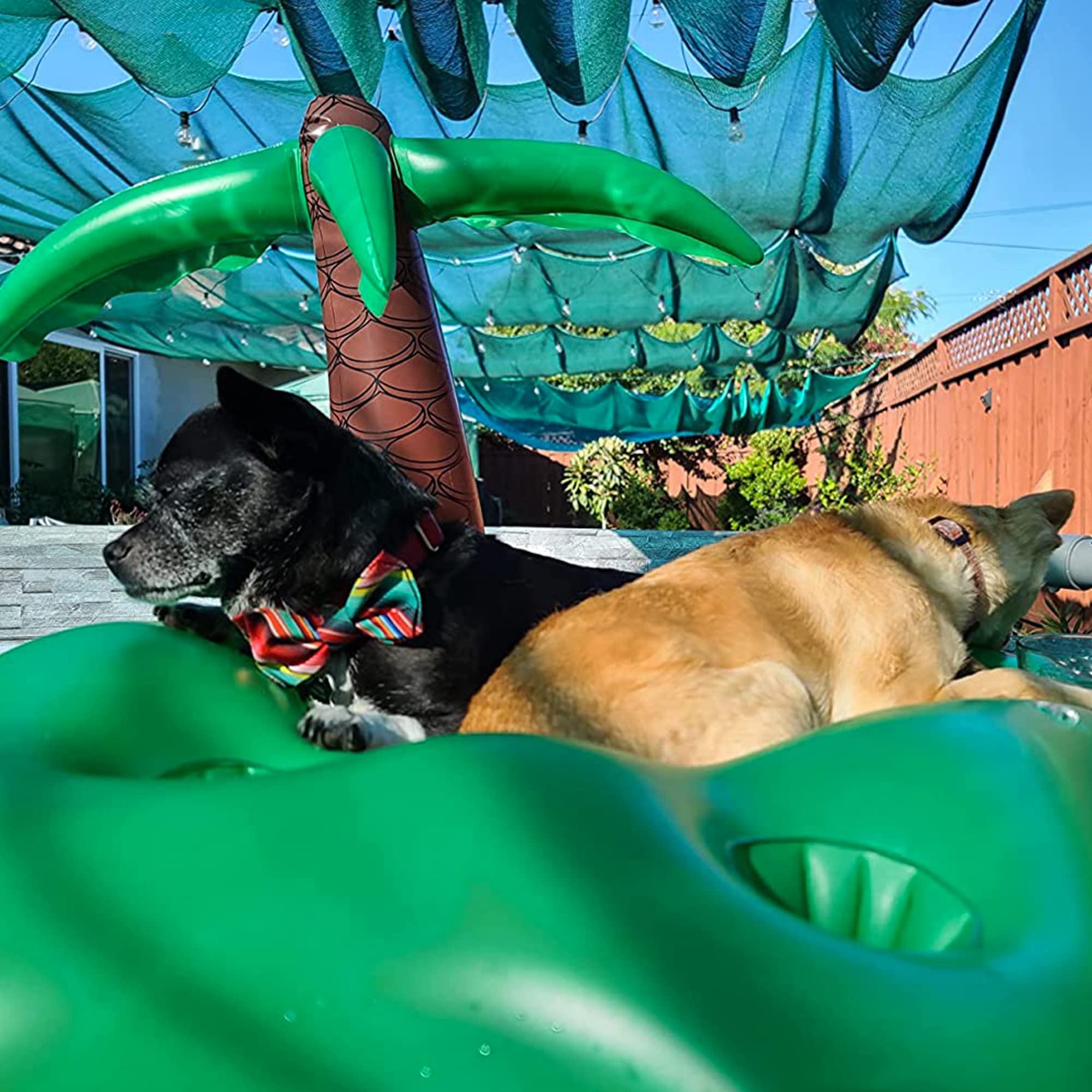 KUCDBUN Coconut Tree Inflatable Drink Holder provides easy beverage access for pups and owners.