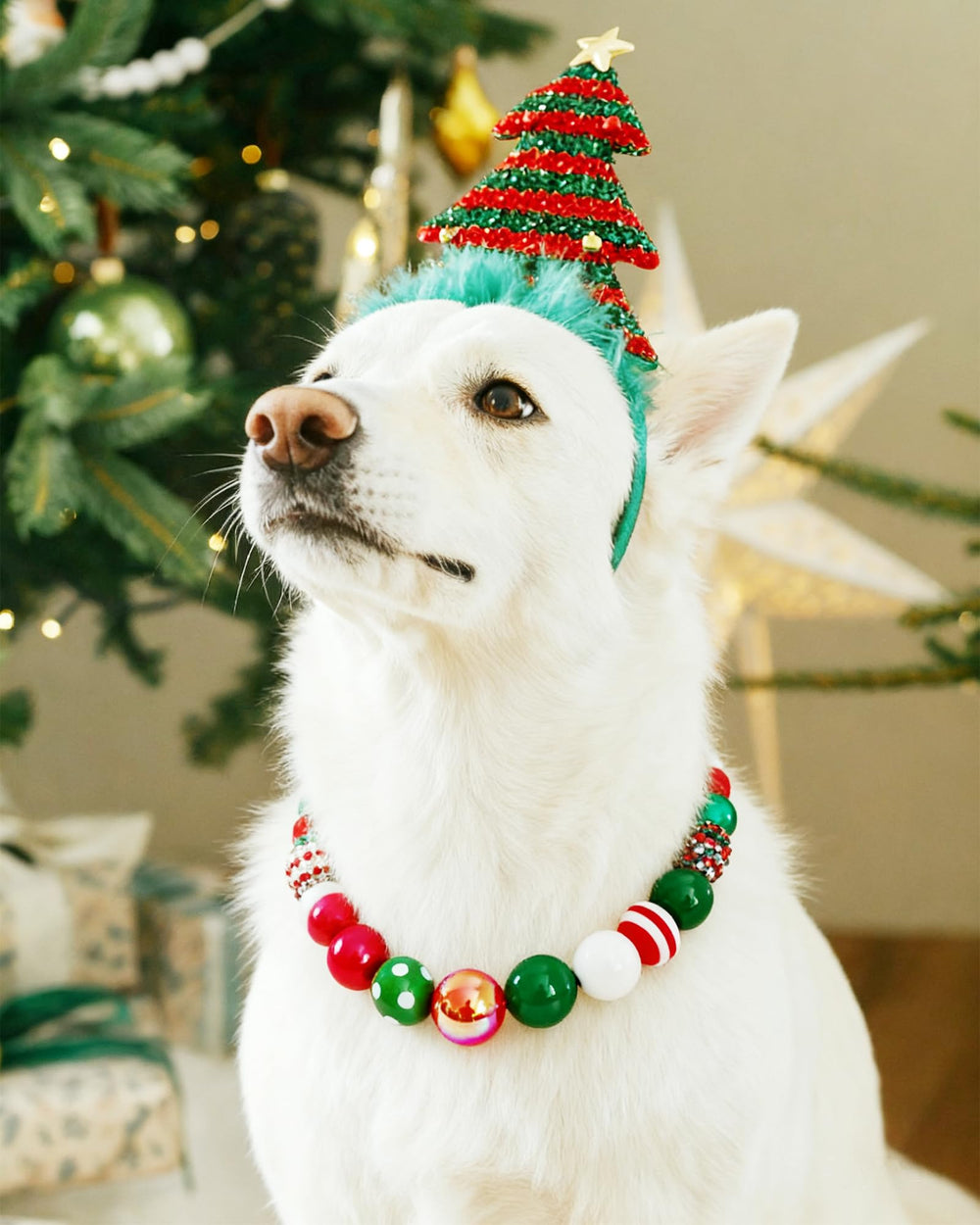 KUDES 2XL fit for medium-large dogs seeking comfy holidaywear