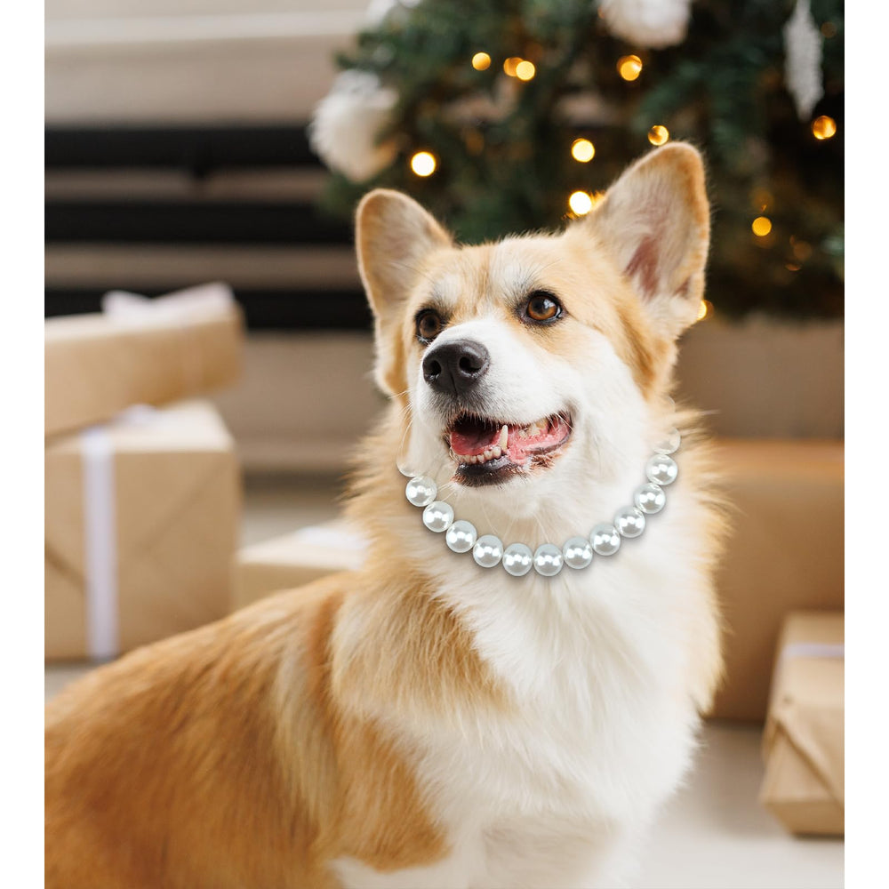 KUDES Chunky Pearl Dog Necklace worn by model dog demonstrates comfortable fit for medium to large breeds.