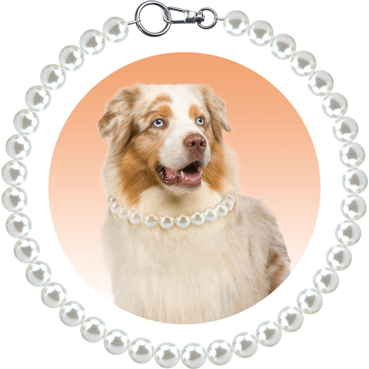 KUDES Chunky Pearl Dog Necklace in white beads enhances a large dog's formal event look.