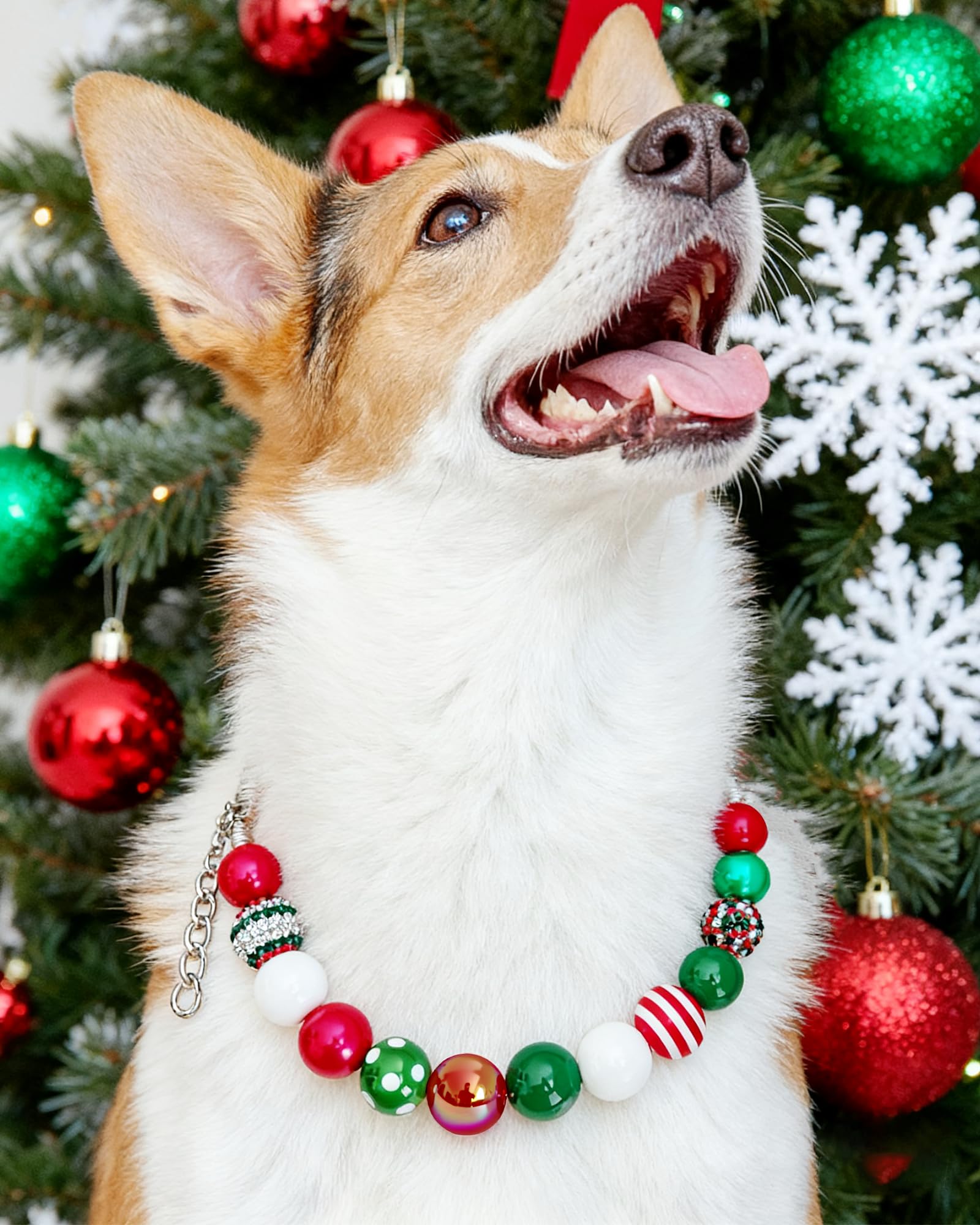KUDES stainless-core dog collar construction provides durability and smooth edges for active dogs.